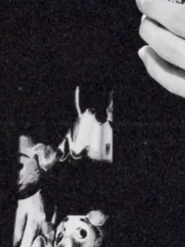 Memeton의 隣人ガチャ成功しました 。