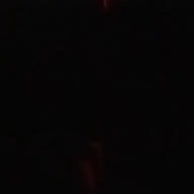 Profile image of 조유식