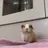 두르롱