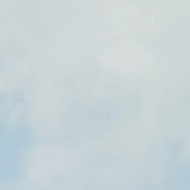 Profile image of 若井 滉斗