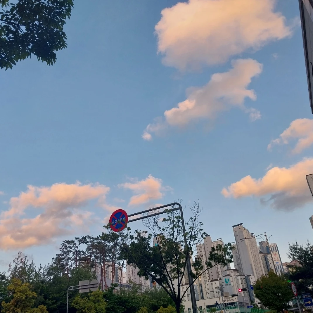 최상엽