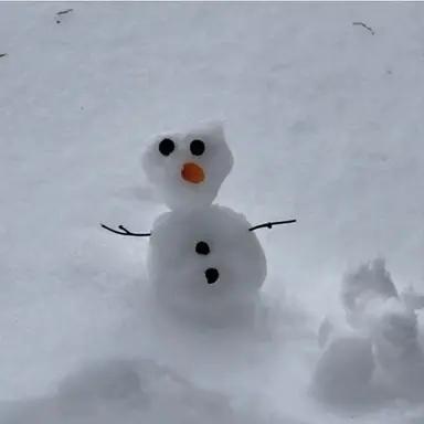 Profile image of user