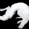 Profile image of デクラン
