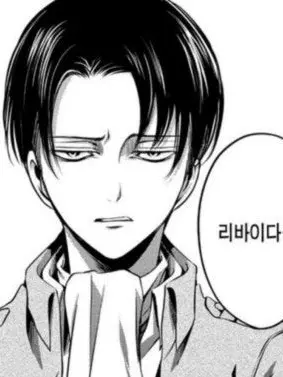 Levi.choso.lover의 user와 결혼한 리바이(신혼)