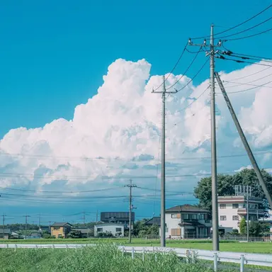 Profile image of 정공룡