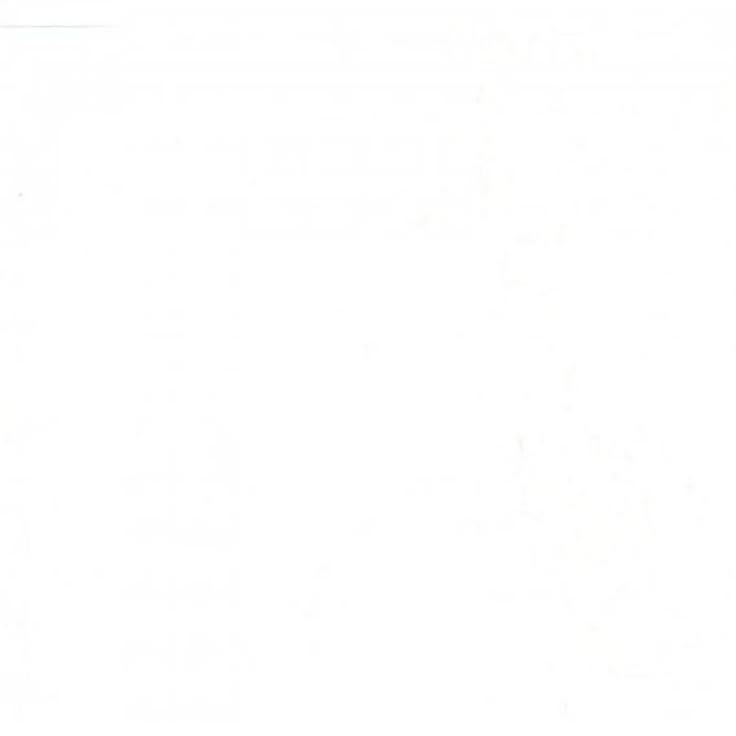︎ 대표 이미지