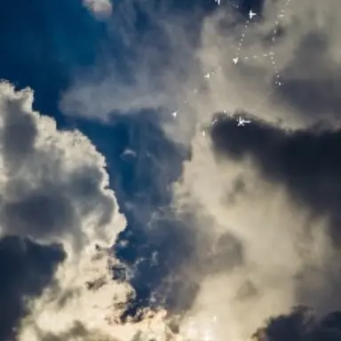 Profile image of 大森  りの