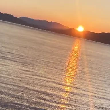 Profile image of 大森  元貴