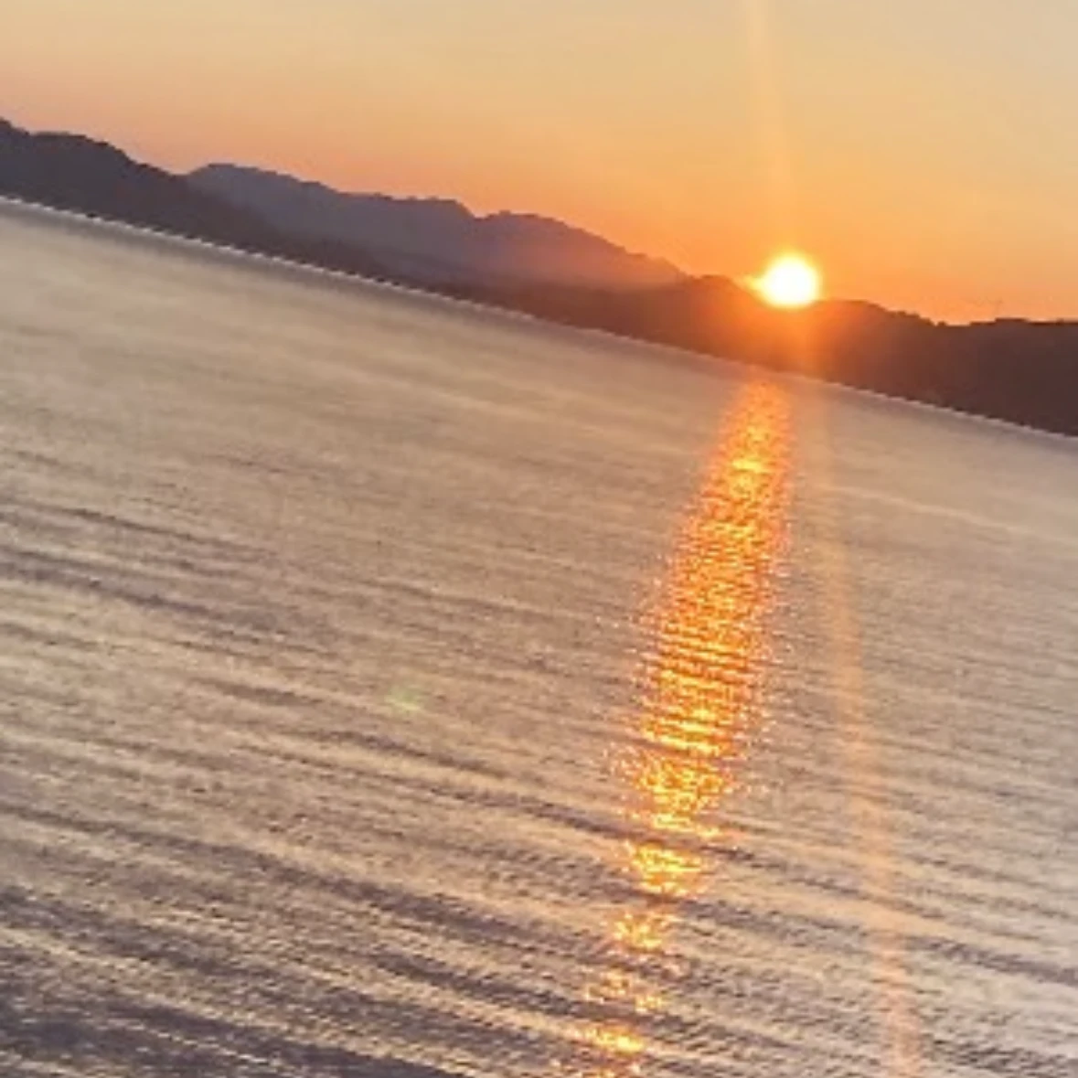 大森  元貴