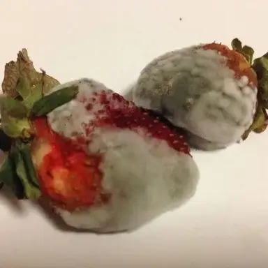 Profile image of 곽한빈