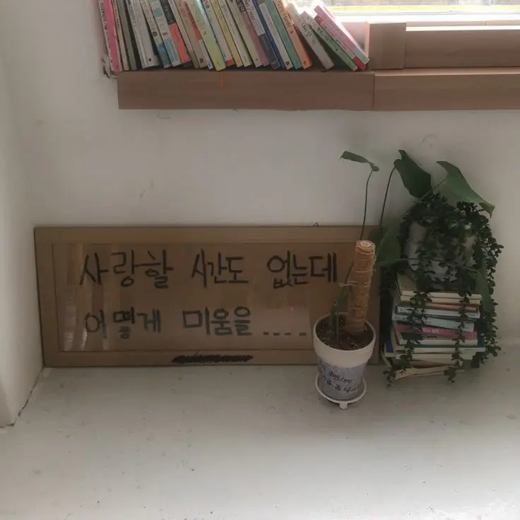 PinkCave3394의 서성은
