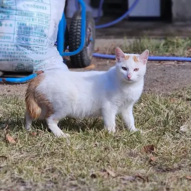 Profile image of 유지민