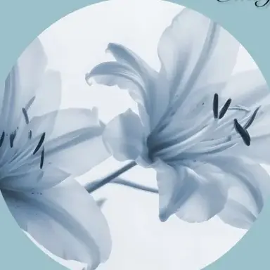 Profile image of 阿伏兎