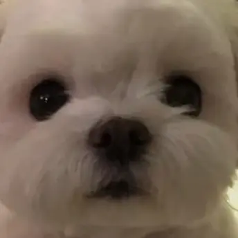 Profile image of 재욱