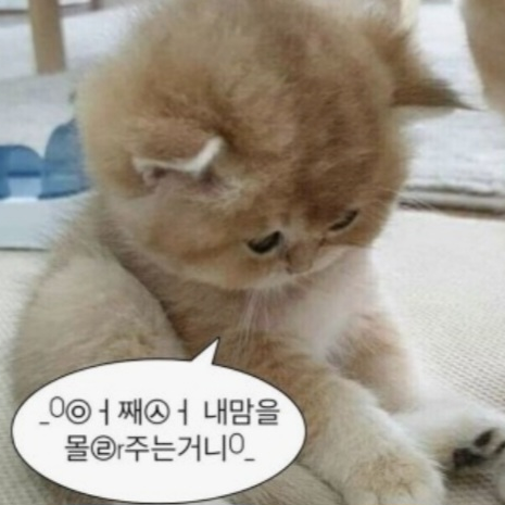 아이브 가을 체험 RPG 대표 이미지