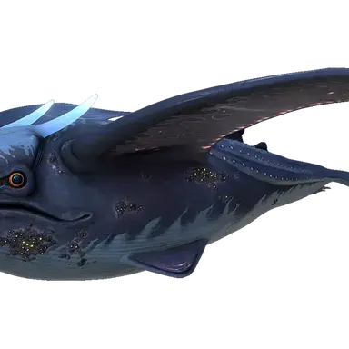 Profile image of 별빛고래