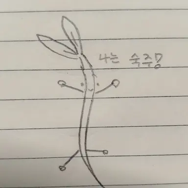 Profile image of 숙주나물