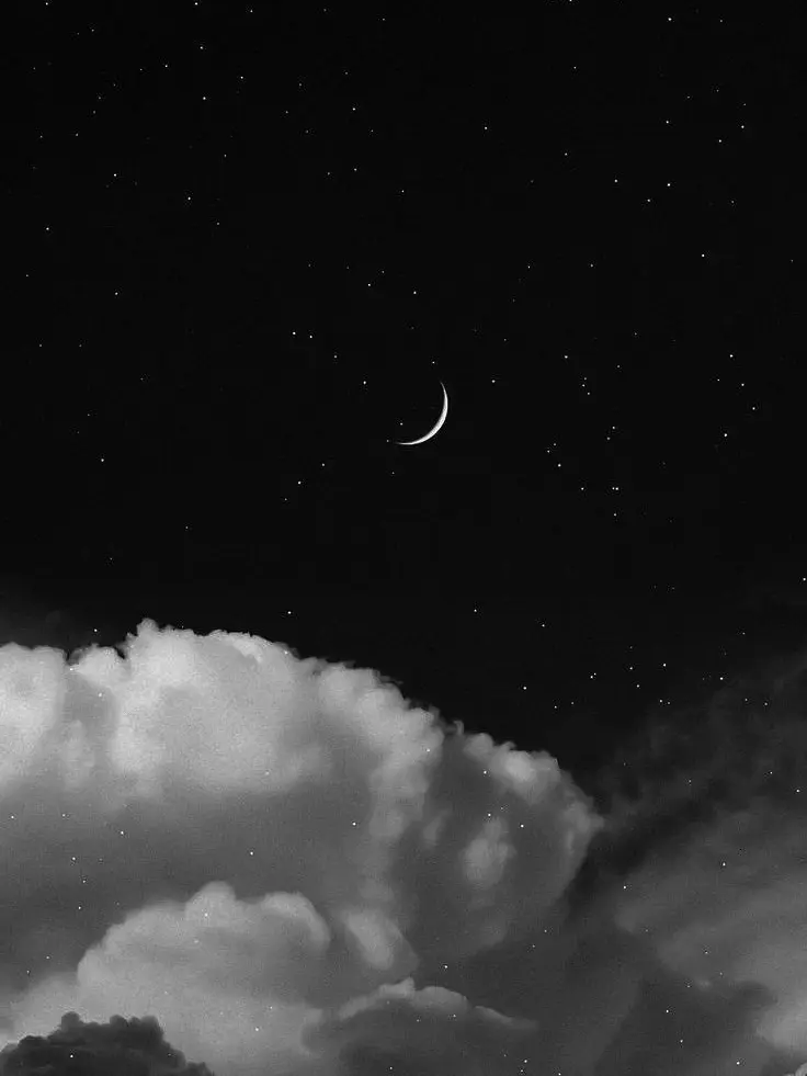 DottedWing3611의 ナンパ見かけちったぁ(？)