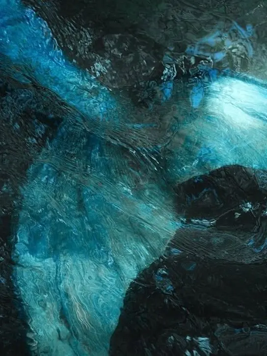 a.lien의 버려진 수족관에서 그를 만났다