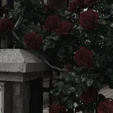 Profile image of Ivan