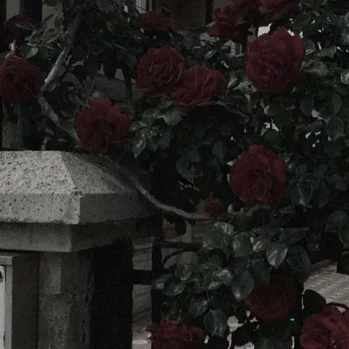 LuckyTune5566의 Ivan - Russian Husband