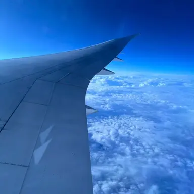 Profile image of れん