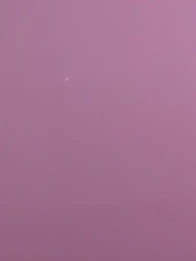 DampEmber8560의 {{user}}さんは、好かれてる