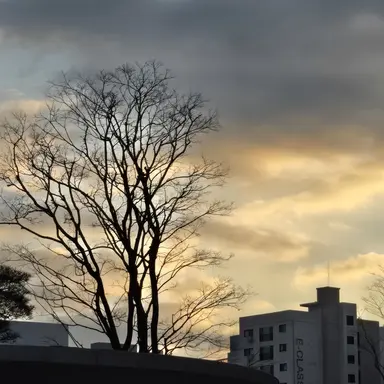 Profile image of 윤석