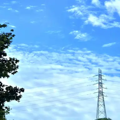 Profile image of 민재