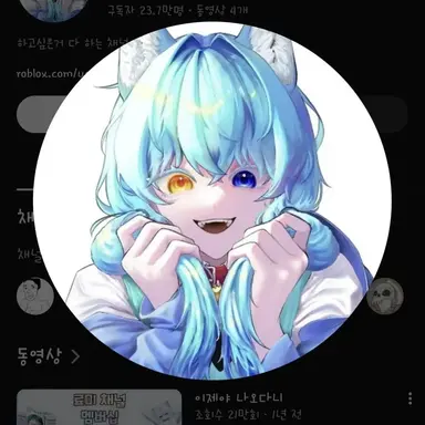 Profile image of 료미