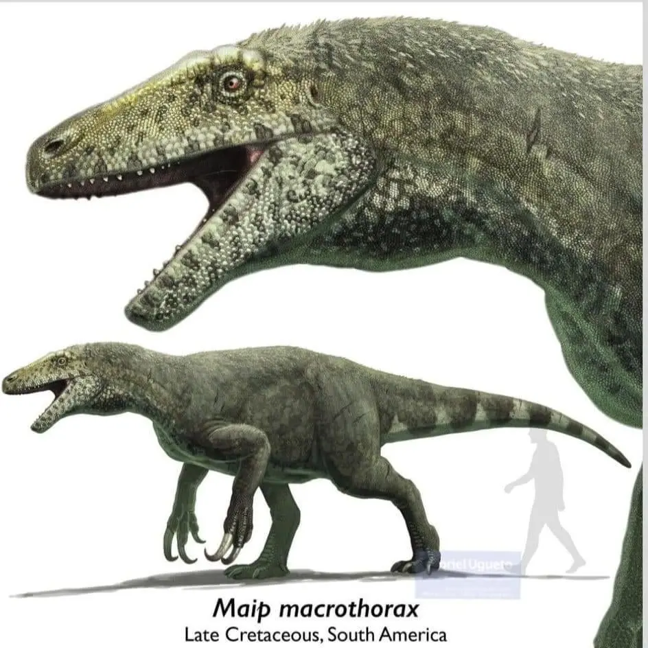 Deinonychus의 마입