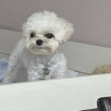 Profile image of 조나단