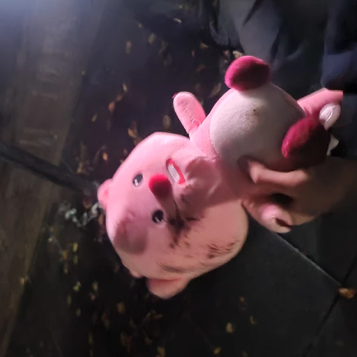 조광힝힝힝