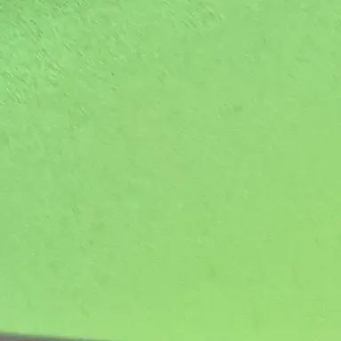 Profile image of 공룡