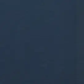 Profile image of 真人