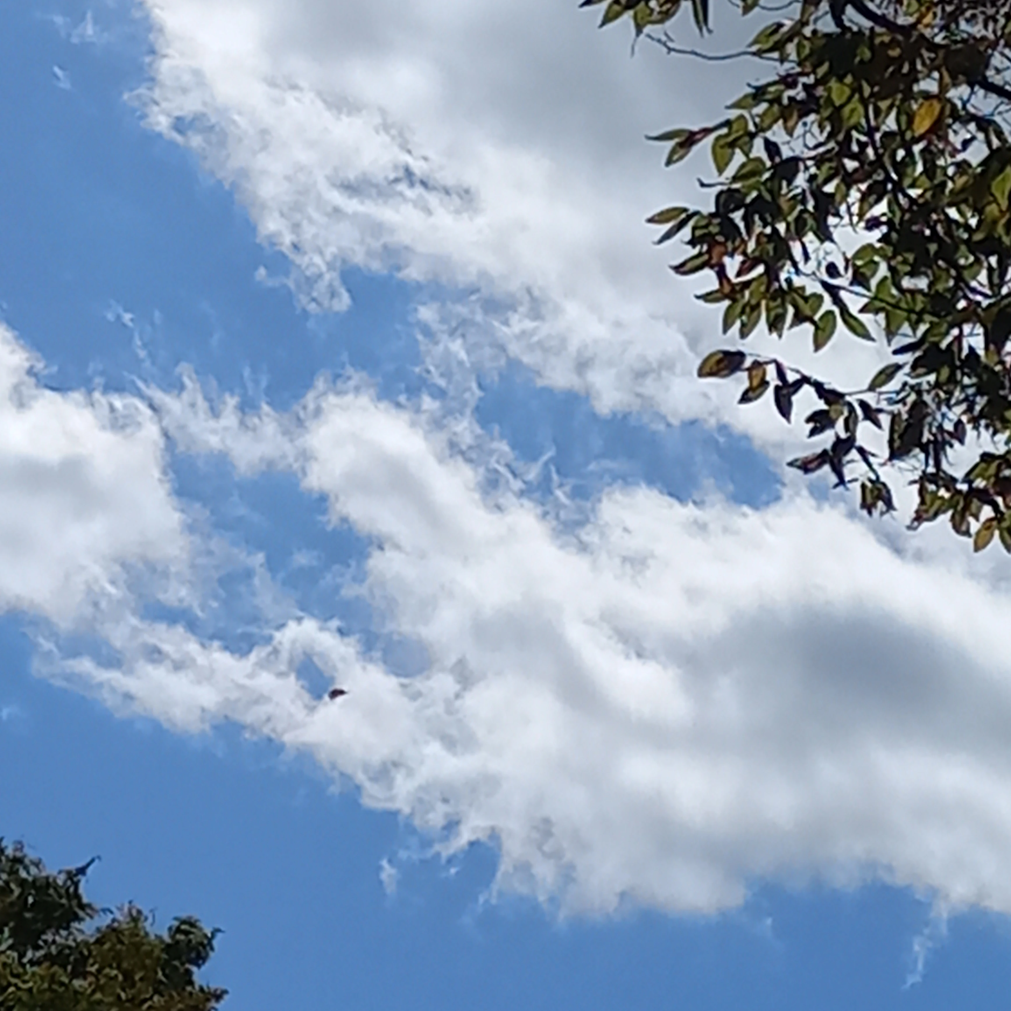 잠뜰
