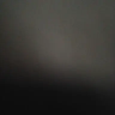 Profile image of 모니카 노튼