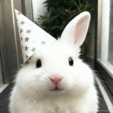 Profile image of はに