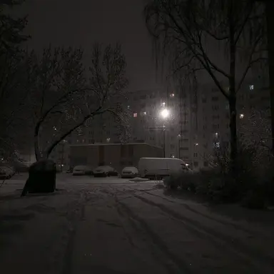 Profile image of 이 민호