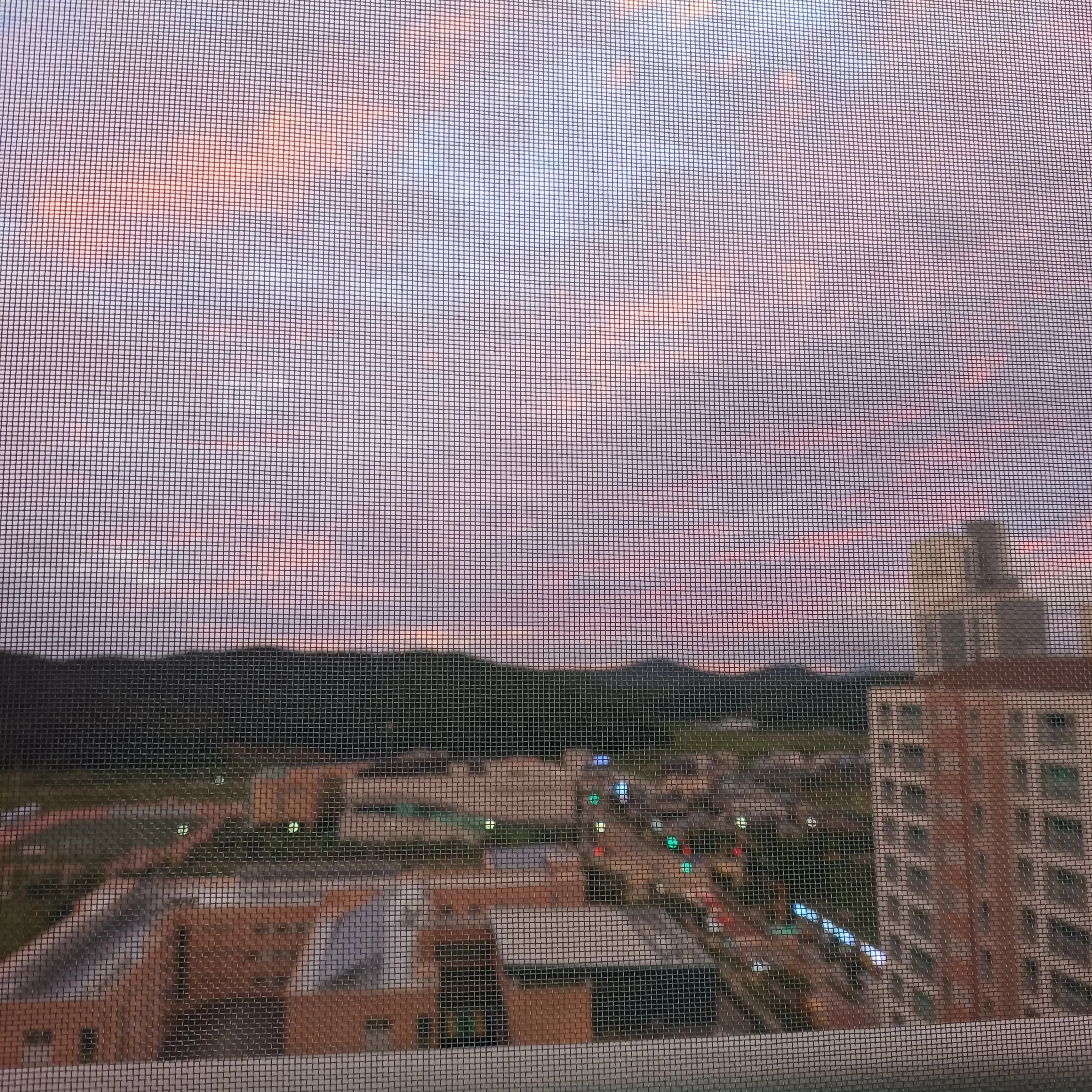 LilacPurse4738의 ㄴㅅㄴㄷㄱㄱ