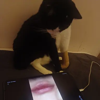 Profile image of 단드