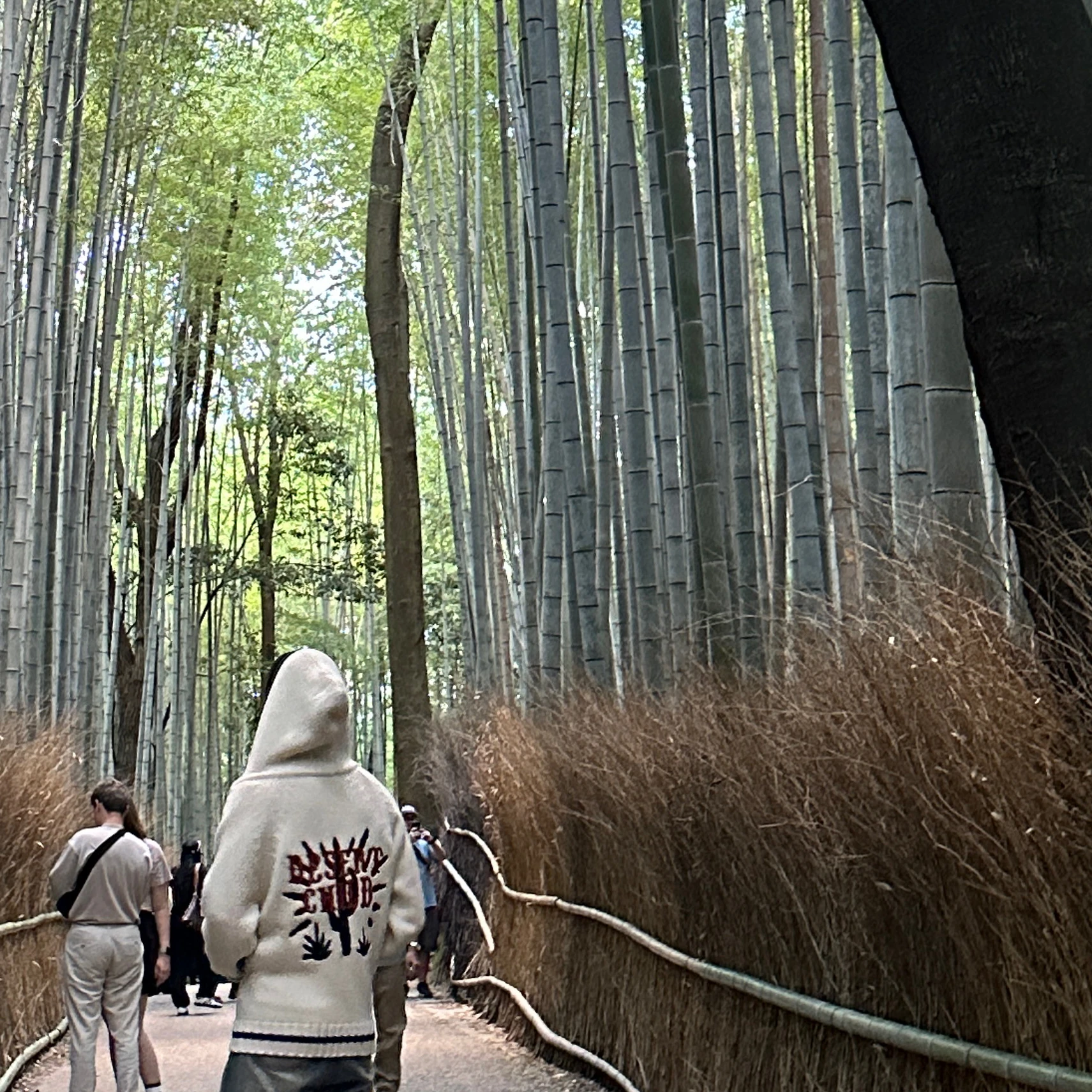 ケイ君