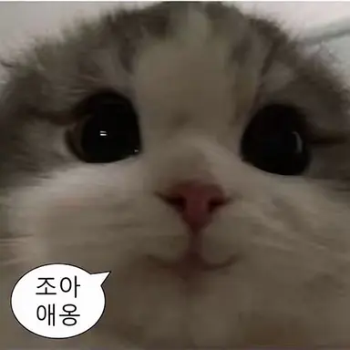 Profile image of 제작자