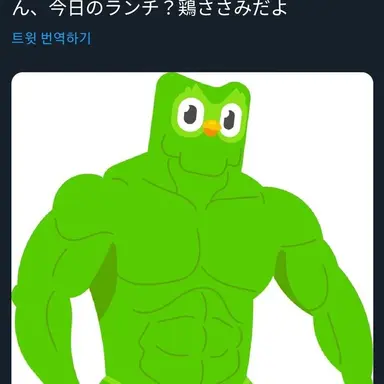 Profile image of 듀오링고