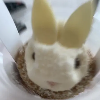 Profile image of 고고프렌즈