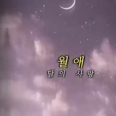 Profile image of 벨키