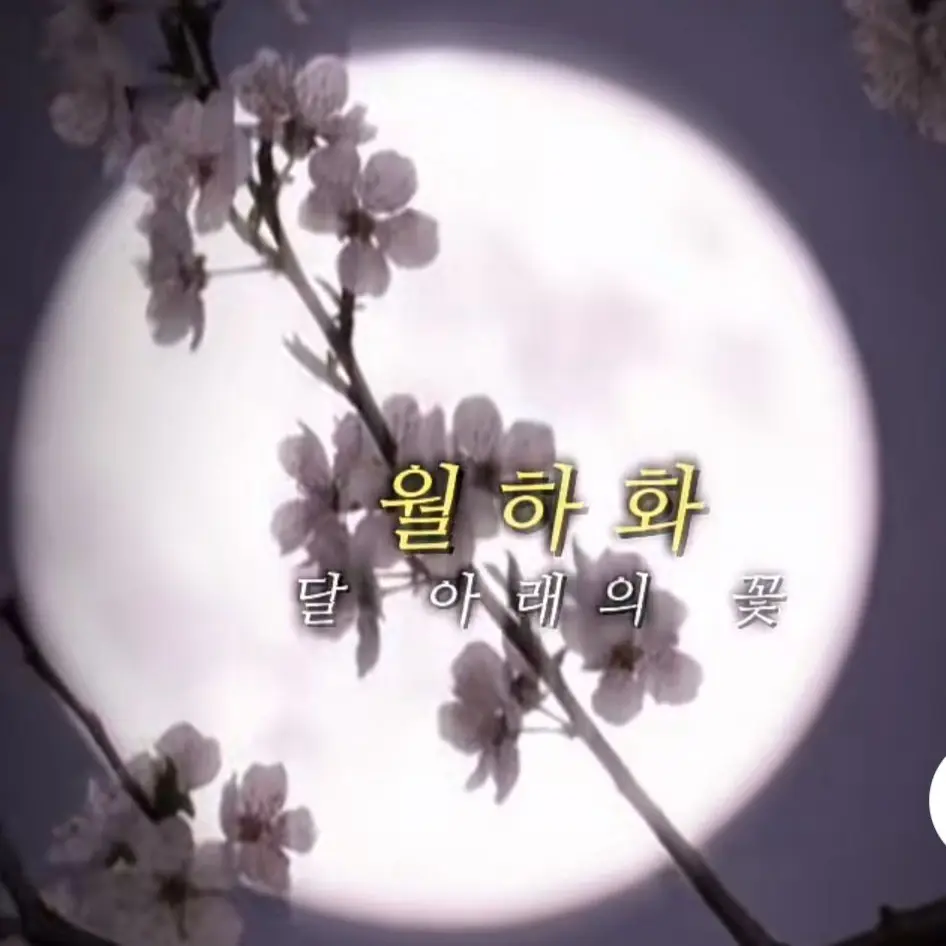 MKML0723의 달.[팀나빠