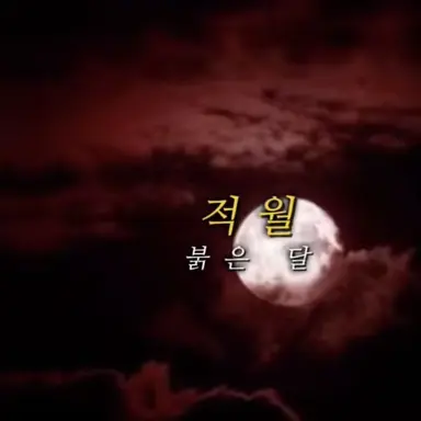 Profile image of 유기사