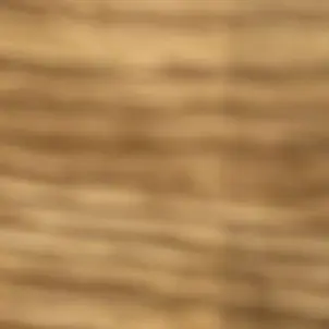 Profile image of ラパン