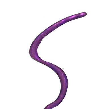 Profile image of 触手
